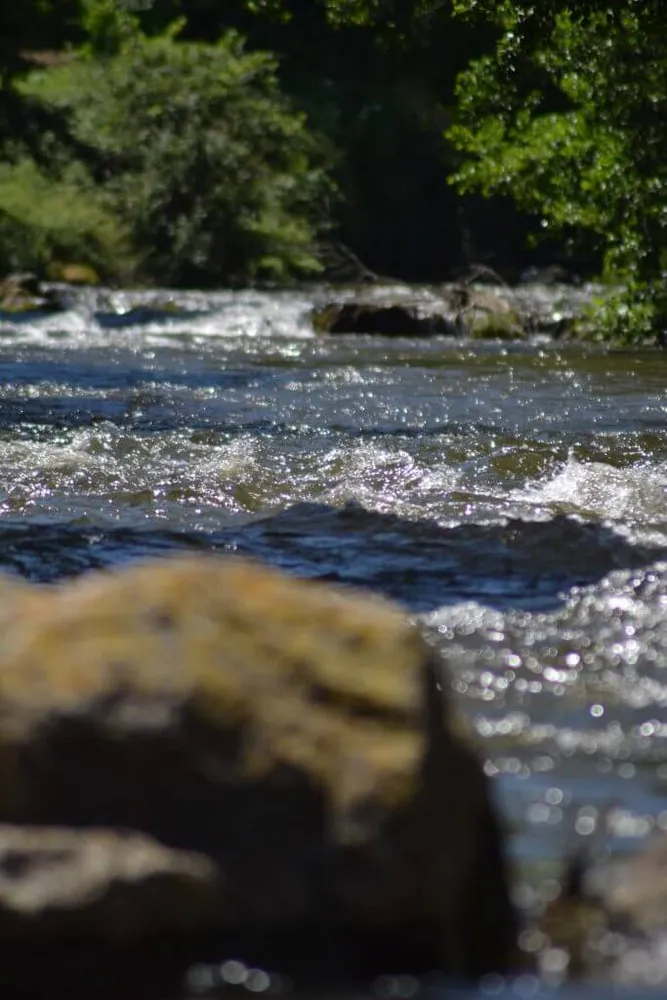L'aude en vacance au camping Le Moulin du Pont d'Aliès