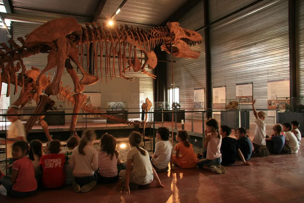 Groupe d'enfants assis écoutant une présentation devant un immense squelette de dinosaure reconstitué au musée d'Espéraza